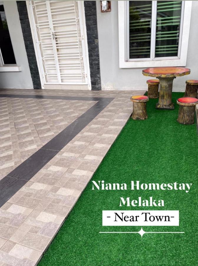 Niana Homestay -near Town *