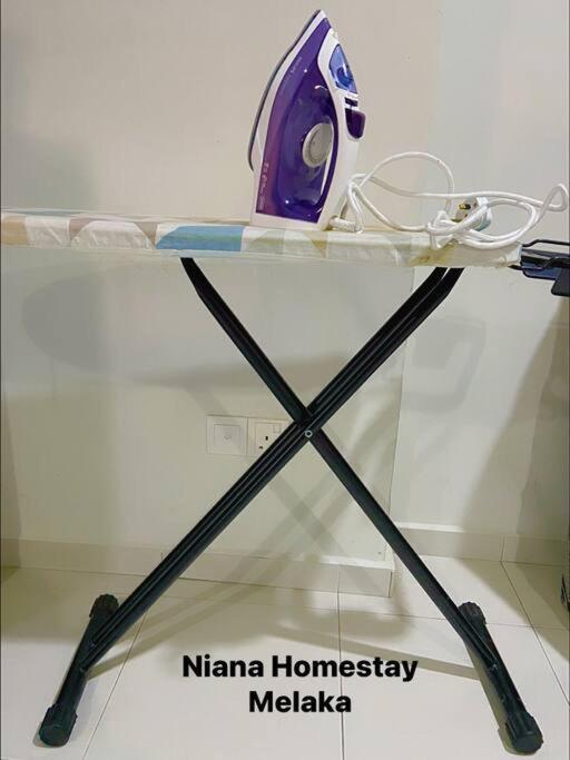 Niana Homestay -near Town Holiday home *